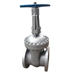Rising Stem Gate Valve