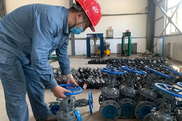 Paint Inspection